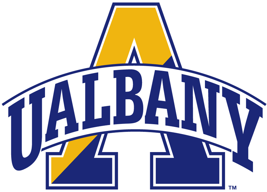 Albany Great Danes 2004-Pres Alternate Logo v6 iron on transfers for T-shirts